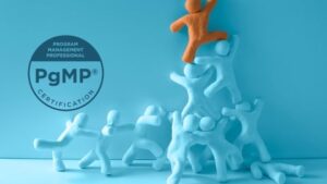 Program Management Professional Practice Exam + 2026 Update